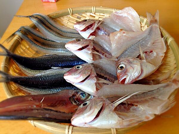 shinnriko's tweet photo. 昨日釣ったお魚を干物にしました。
小鯛、トビウオ、サヨリ、ムロアジ。
全部、鳴門のウチの海で釣りました。
こういった小物のお魚は、干物が... (釣魚料理 釣魚の干物) http://t.co/xxqL9XUV49 #SnapDish http://t.co/VyWfANUCTi