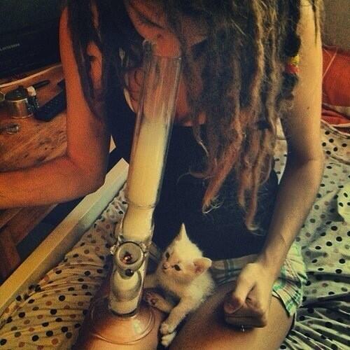 whileurstoned tweet picture