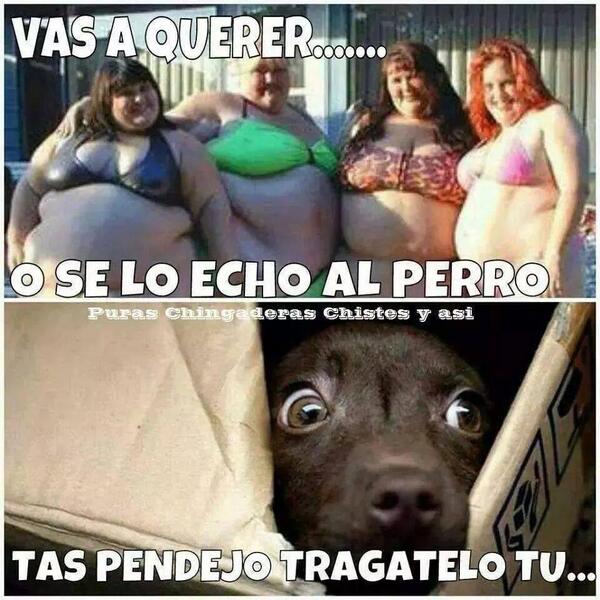 siemprecrudo's tweet photo. Vas a querer? http://t.co/cDMZzYkhoV