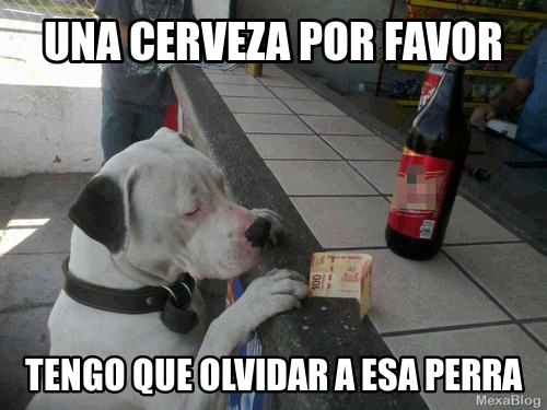 siemprecrudo's tweet photo. Necesito olvidar. http://t.co/KEfsJEaE0x
