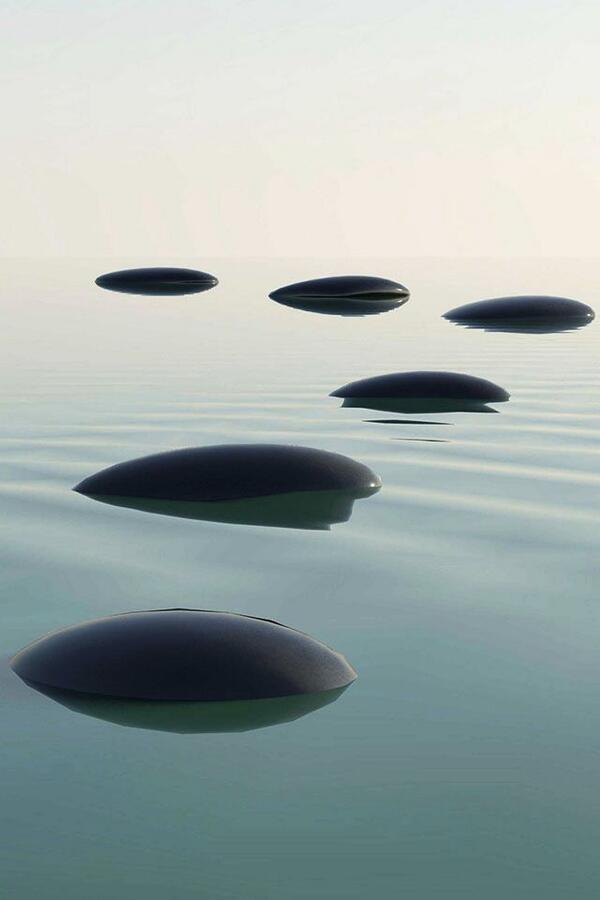 LLC M.E.O.K.E.N. tweet media