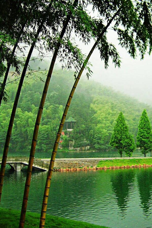 LLC M.E.O.K.E.N. tweet media