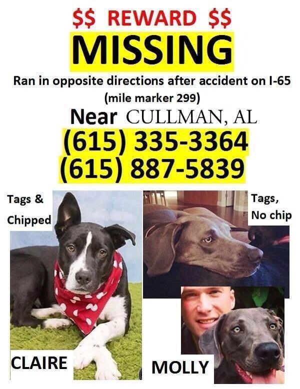 HntrJmper's tweet photo. @TrafficMike_BHM  @RegsCoffeeHouse can we get a retweet? http://t.co/gbHTQKB0Rf