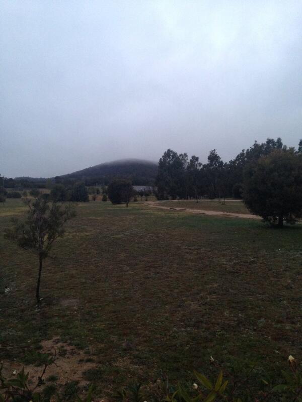 cactusian's tweet image. Day 240: #MyFrontDoor just a glimmer of light #MyFrontGate fog on the mountain