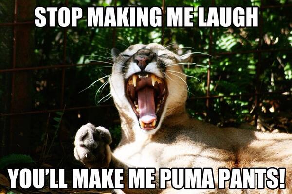 Tattiawna Jones (@tattiawnajones) on Twitter photo 