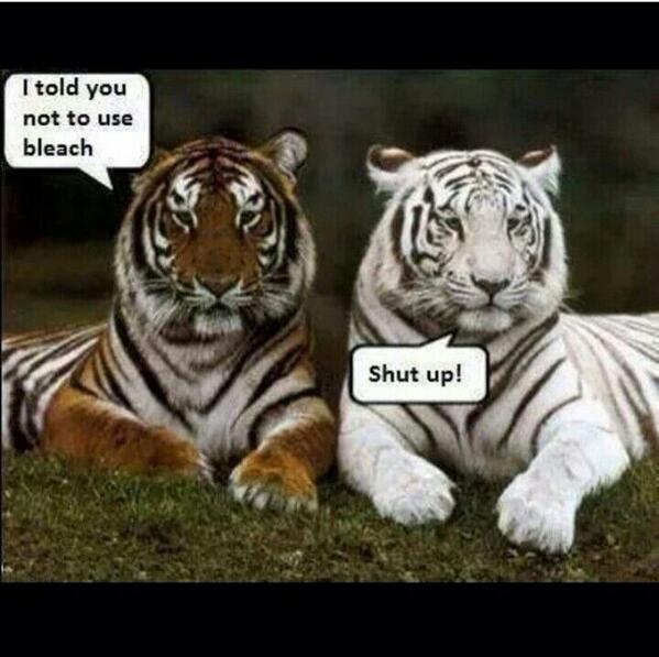 Navpunjab's tweet photo. @NargisFakhri http://t.co/0noYQsR5XI
