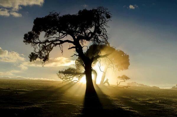 Gabriele Corno tweet media