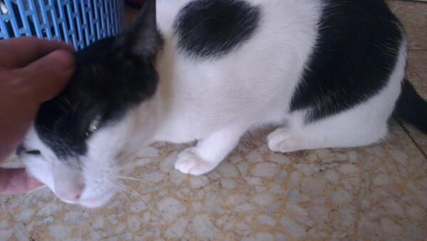 hitherethisis's tweet photo. あまいwwwwww http://t.co/WWwBwKnO3o