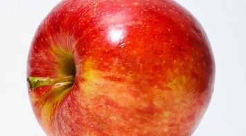 girlestweet's tweet photo. 10 FOODS TO EAT TO LOSE WEIGHT
http://t.co/3LGK78t2PV http://t.co/X7nDPqWh4K