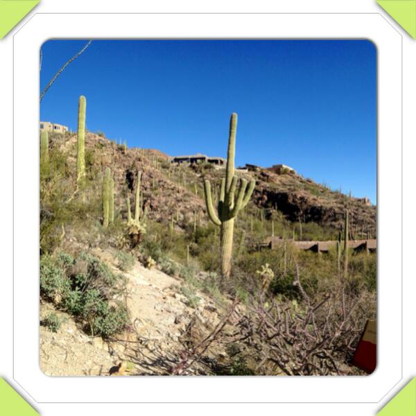 beezmap's tweet photo. #instacollage http://t.co/zCxkt7wpsX