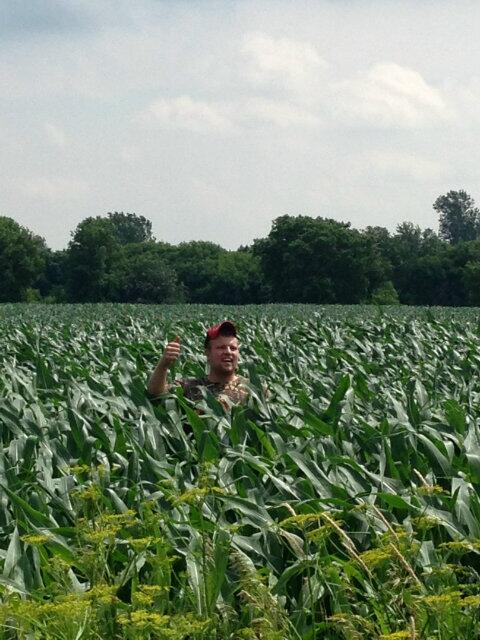 bigSwiss92's tweet photo. Knee height by 1st of july I think nyentap's corn passed the test http://t.co/VyHysCDdEp