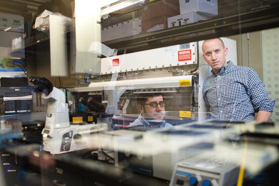 idtdna's tweet photo. Research Labs Jump to the Cloud http://t.co/MLZdzlZ29A by @WSJ http://t.co/Pulu7Mt9dl