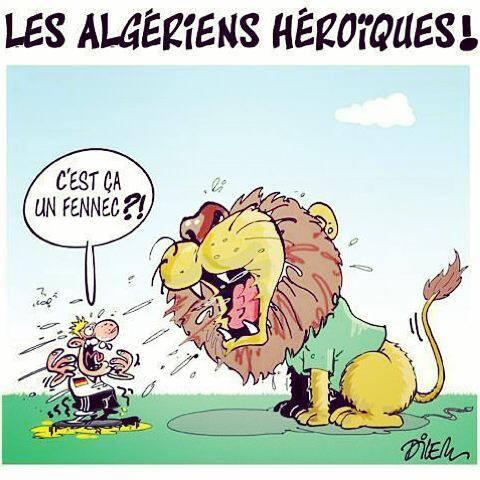 NadjiFCB66's tweet photo. Tellement Fiere de mon Pays <3 Merci pour cette coupe du monde pleine d'emotion #ALGALL #ALG #WC14 #TahiaDZ #TeamDz http://t.co/3edSO7mrjZ
