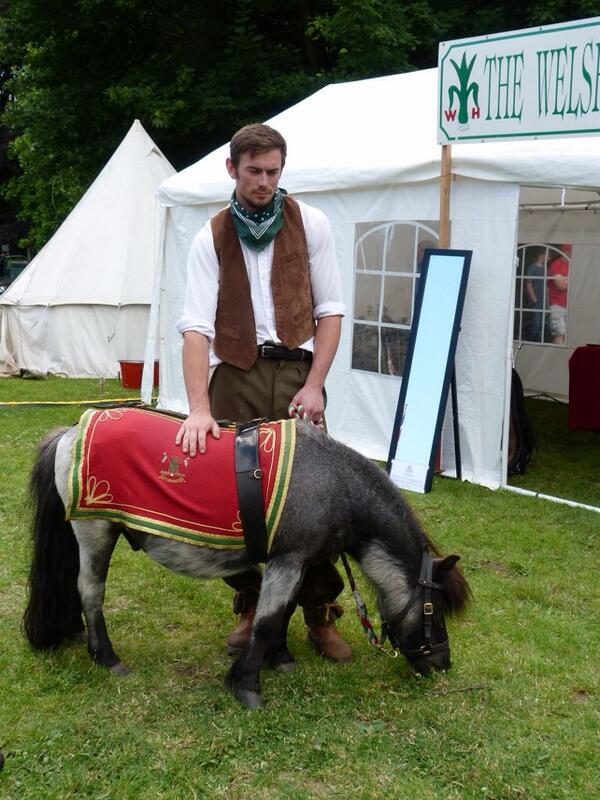 A tall man in the costume of WW1 &amp;his rather small horse (the mascot of the Welsh Horse Yeomanry) #ArmedForcesDay