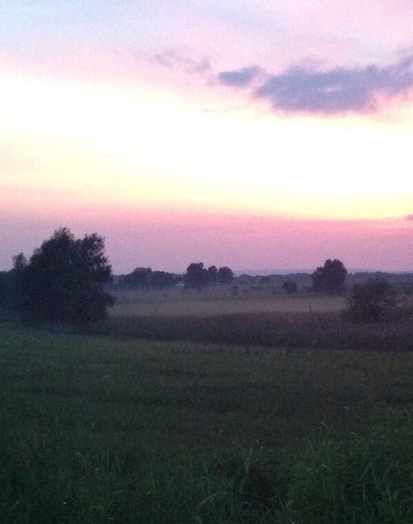 The first summer pasture mists appeared last night.