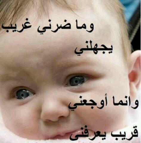 mmmmmm_ms's tweet image. 