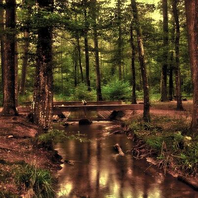 NCArmour's tweet photo. “@spiritualpasswd: Having an open communication with the earth from our heart is what we call grounding. http://t.co/7rhoXBYG04”