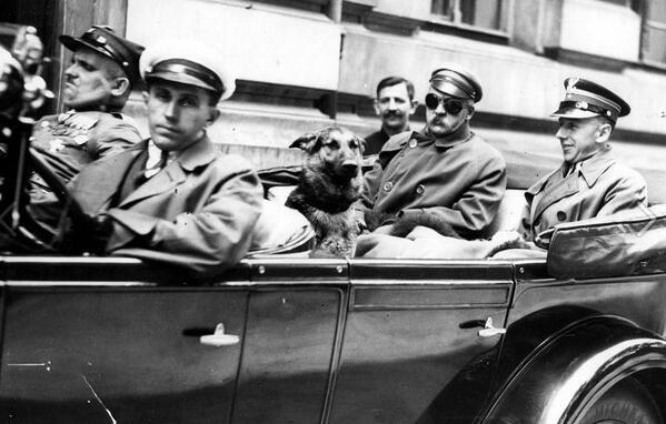 HitWithHistory's tweet image. Marshal Piłsudski, wearing sunglasses, rides with his dog. Second Polish Republic