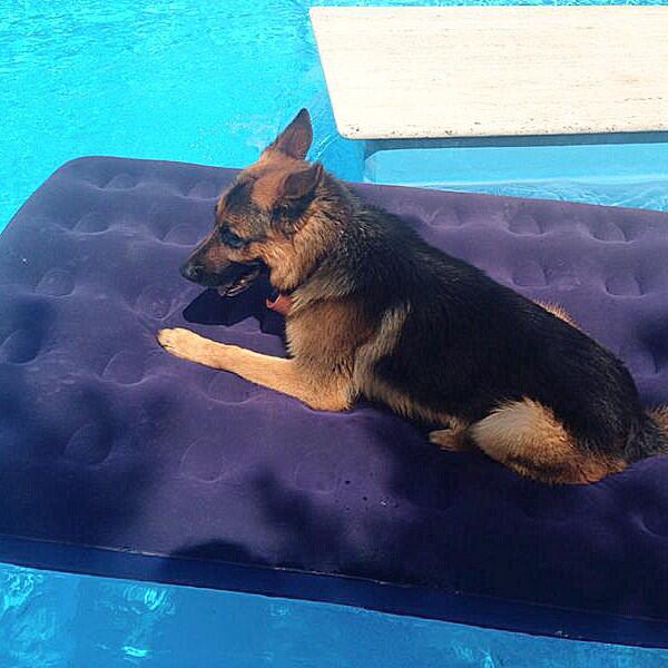 La comodità si insegna.