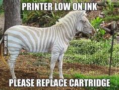 CWScotland's tweet image. With a summer of sports on the go its time for an ink-credibly good meme #WorldCup2014 #CommonwealthGames #Wimbledon