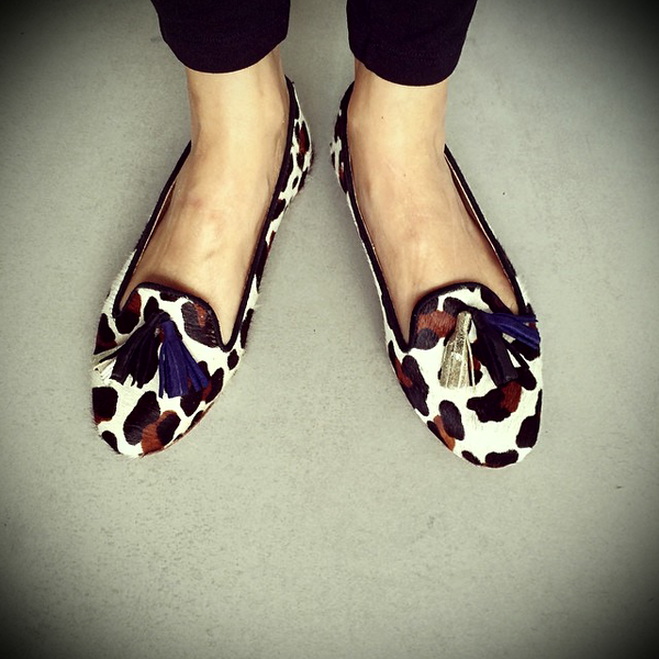 sil29alb's tweet photo. Todavía no tenes los slippers más lindos del mundo?! http://t.co/oZpZXPgvOy
