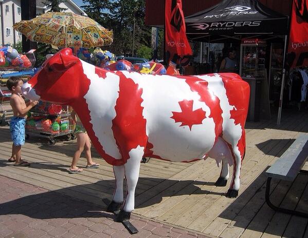 Happy #CanadaDay #toronto #gotbeef