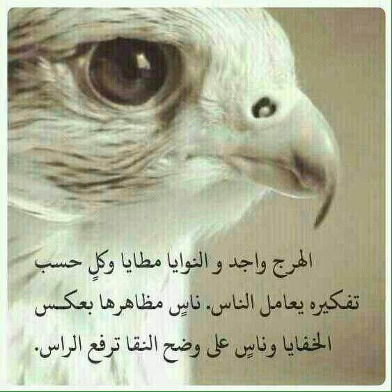 DigitKsa tweet picture