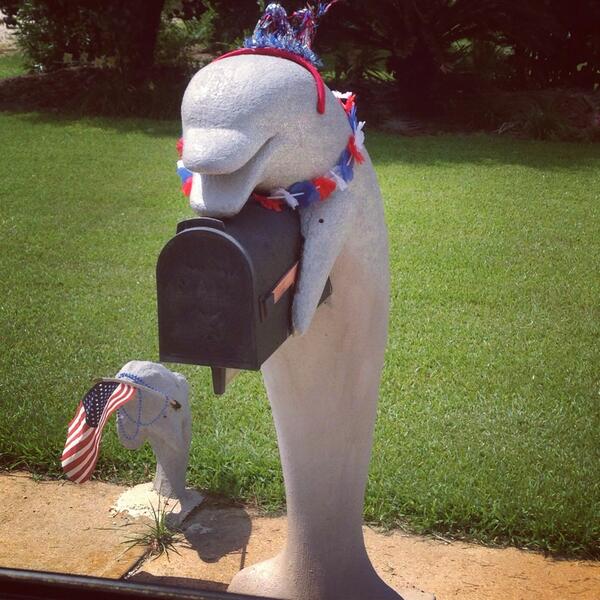 If I had a dolphin, I guess I'd decorate it also. Still Kind of weird.