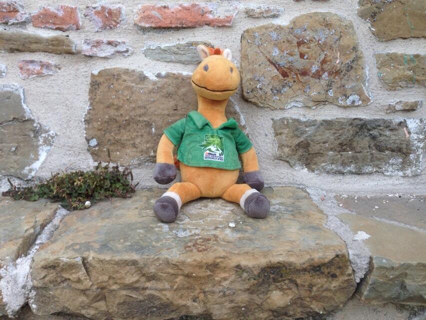 Permalien de l'image intégrée