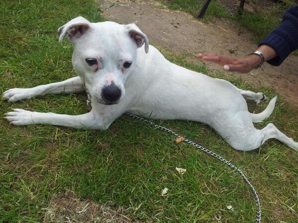 devil_mann's tweet image. 