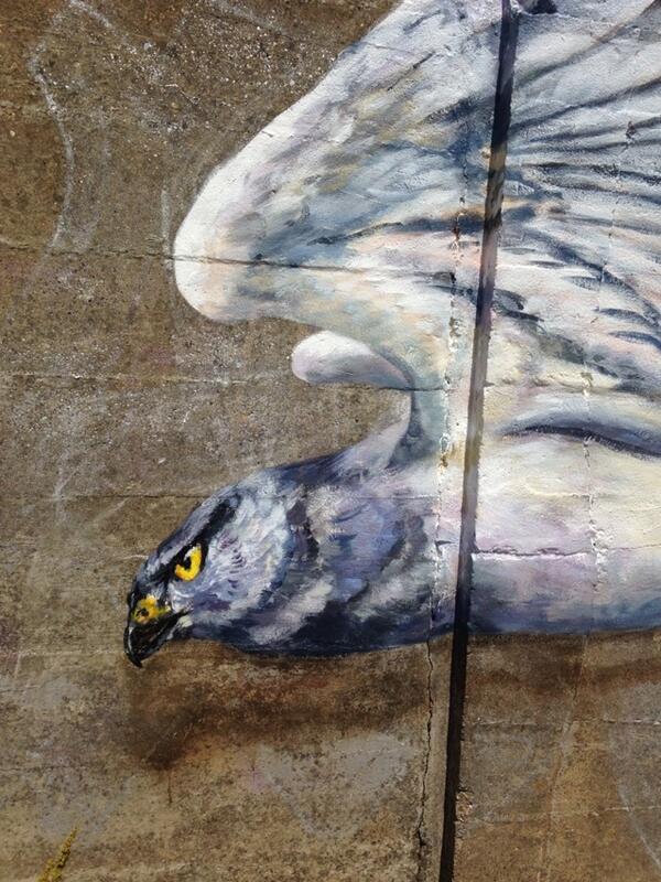 thebenoakley's tweet photo. Hen Harrier Day #bog @AtmStreetart http://t.co/NHoraQu8Zx