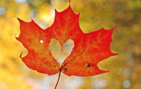 CherylPlayter's tweet image. Happy Canada Day