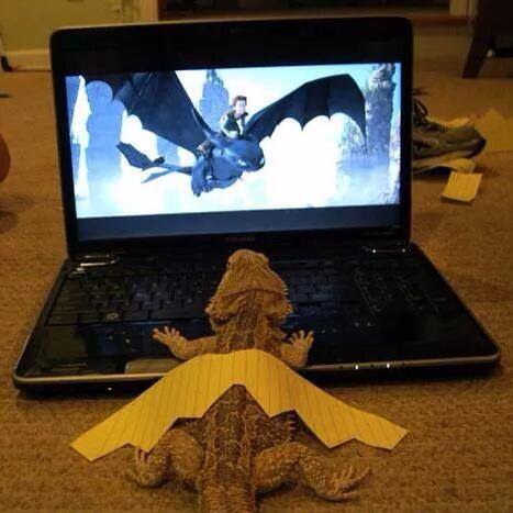 CheviotMedia's tweet photo. Specially for @RogiBeari and her dragons. #DreamBig  (photo by VRZone on FB) http://t.co/miuSQR2gUx