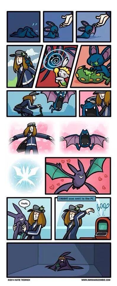 The things we do for the Pokédex...