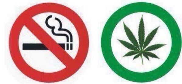 _Truffle_Report's tweet image. Rt if you agree.