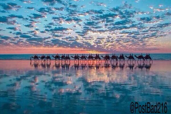 PostBad216's tweet image. Djerba - Tunisie 🐫🌅