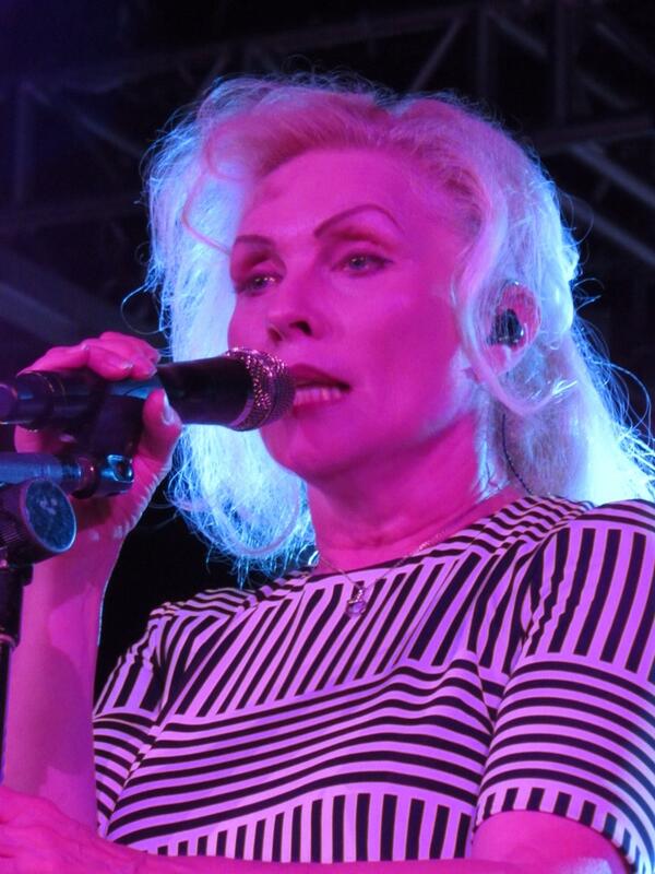 guernseypaul's tweet photo. Goddess of cool http://t.co/RHieUVf7pe