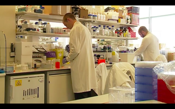itvcalendar's tweet photo. Leeds scientists lead brain tumour cure research http://t.co/vzG0V6rLpU @BrainTumourOrg @laura_bailey1 http://t.co/3l1MOQdmkC