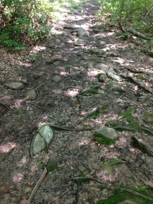 DCodyNabors's tweet image. Great ride today even though so humid.  #solace #Inthezone #Didntcrash :-)