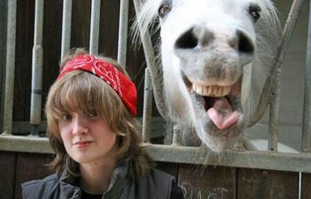 MrLeeMcAteer's tweet image. @BIGManderson @FundEnterprise @NBEPIC @TomkinsTheHorse #LaunchTeaser