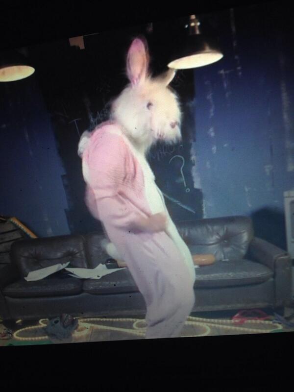 5SODenmark's tweet photo. “@5SecsOf_Updates: Oh god #dancingrabbit http://t.co/os7v30usc6”