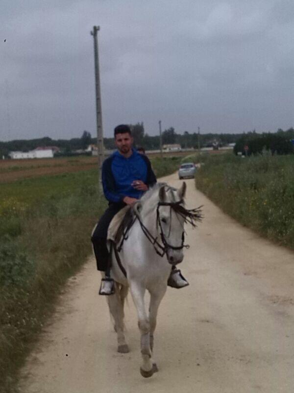 MontseVakero's tweet photo. Mimosa iv http://t.co/NMXQKnsetb