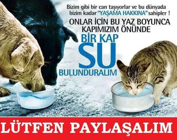 Lütfen paylaşalim ve uygulayalim.