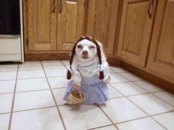 TheComedyHumor's tweet photo. when ur outfit on point but ur plans get cancelled http://t.co/yoZB2smDCm