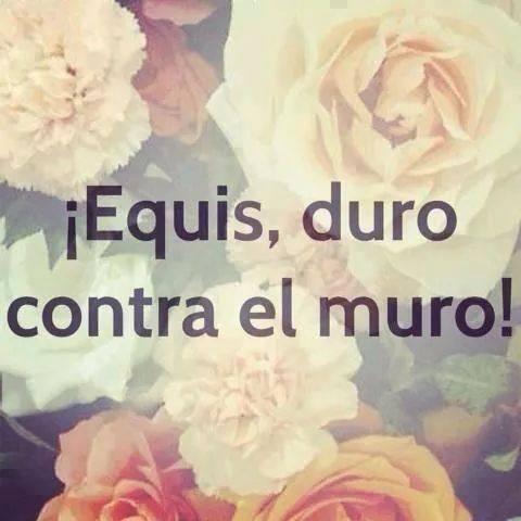 CKarelly's tweet photo. y que se me olvida como es que funciona el twitter :3 jajajajja http://t.co/YmT4RN1tBw