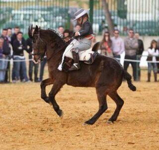 pasiondcaballos's tweet photo. Mi futuro hijo ♥.♥ http://t.co/XxWrpROtd9