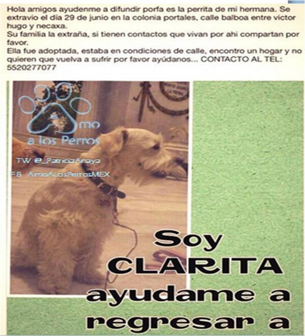 “<a href="/_PatriciaAnaya/">Amo a los Perros</a>:  SE BUSCA A CLARITA #Portales RT  <a href="/Col_NativitasDF/">Nativitas BJ CDMX</a> <a href="/eje_universidad/">Eje_Universidad</a> <a href="/Colonia_Acacias/">Colonia Acacias</a> <a href="/Col_NHeroes7/">colonia_ninosheroes7</a>