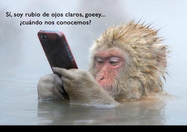 stephani_rivera tweet picture