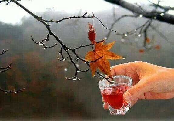 나이가들수록비판을좋아한다
비판은나자신을병들게한다
긍정에마음이중요하다
자신의건강한인생을위하여...
-좋은글중에서-