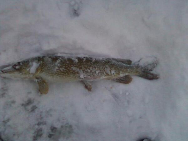 HotchkinStetson's tweet photo. http://t.co/pDD8UX0gco